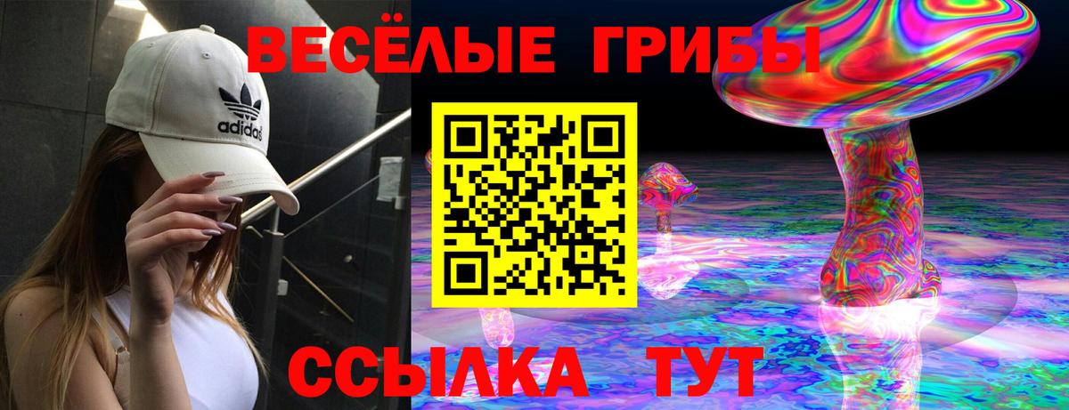 Псилоцибиновые грибы мицелий Узловая